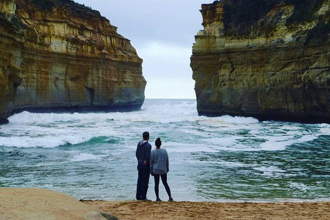 Great Ocean Road Small-Group Ecotour From Melbourne - Accommodation Sunshine Coast 1