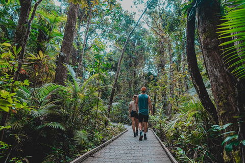 Full Day Cooktown Private Tour - Accommodation Sunshine Coast 0