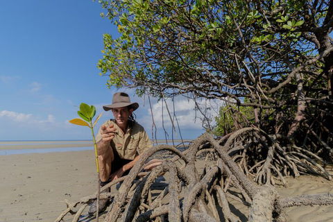 Full Day Cooktown Private Tour - Accommodation Sunshine Coast 2