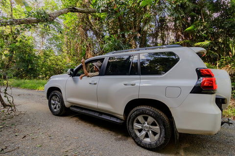 Full Day Cooktown Private Tour - Accommodation Sunshine Coast 3