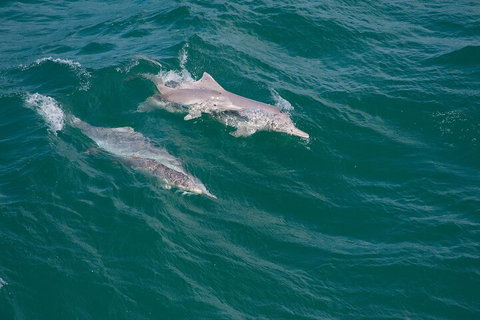 North Stradbroke Island Private Tour With Pickup - Accommodation Sunshine Coast 0