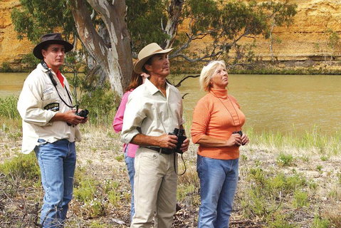 4-Night Murray River Cruise By Classic Paddle Wheeler PS Murray Princess - Accommodation Sunshine Coast 2