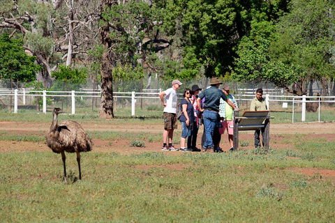 Yura Udnyu - Our Culture, Your Culture (Aboriginal Cultural Walk) - Accommodation Sunshine Coast 1