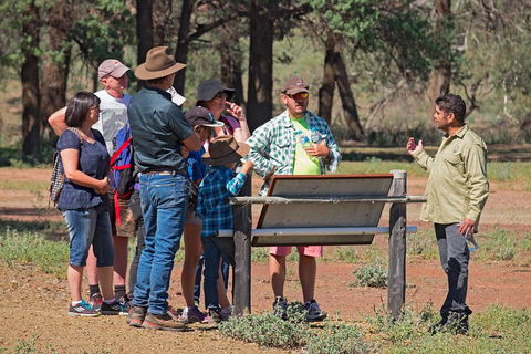 Yura Udnyu - Our Culture, Your Culture (Aboriginal Cultural Walk) - Accommodation Sunshine Coast 2