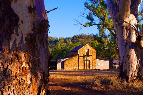 Yura Udnyu - Our Culture, Your Culture (Aboriginal Cultural Walk) - Accommodation Sunshine Coast 4
