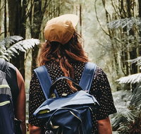 Small Group - Yarra Valley  Dandenong Ranges Hike from Melbourne