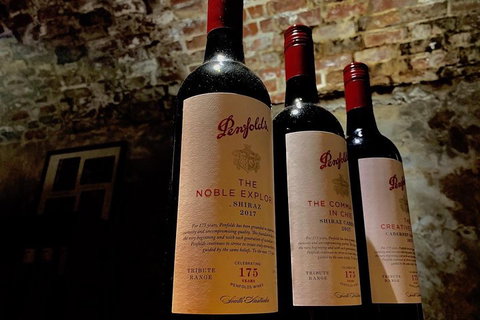 The Ultimate Penfolds Magill Estate Wine & Underground Cellar Tour - Accommodation Sunshine Coast 5