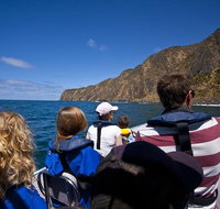 Seal Island Boat Tour from Victor Harbor - Accommodation Sunshine Coast