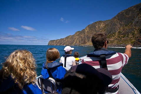 Seal Island Boat Tour From Victor Harbor - Accommodation Sunshine Coast 0