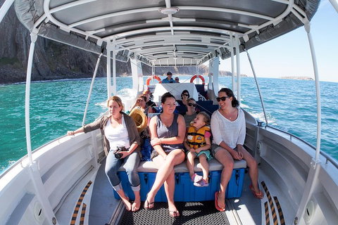 Seal Island Boat Tour From Victor Harbor - Accommodation Sunshine Coast 1