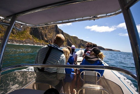 Seal Island Boat Tour From Victor Harbor - Accommodation Sunshine Coast 2