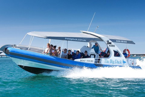 Seal Island Boat Tour From Victor Harbor - Accommodation Sunshine Coast 3
