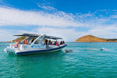 Southern Ocean Adventure From Victor Harbor - Accommodation Sunshine Coast 1