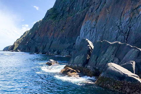 Southern Ocean Adventure From Victor Harbor - Accommodation Sunshine Coast 3