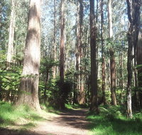 Dandenong Ranges Private Tour Including William Ricketts Sanctuary