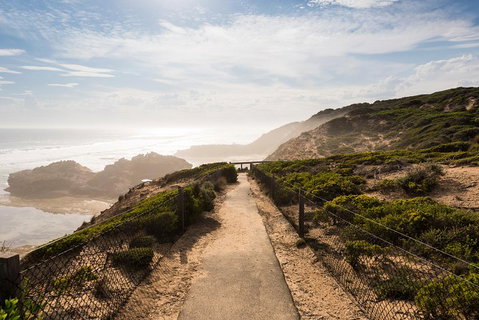 Mornington Peninsula Day Trip From Melbourne - Accommodation Sunshine Coast 4
