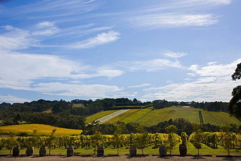 Mornington Peninsula Day Trip From Melbourne - Accommodation Sunshine Coast 5