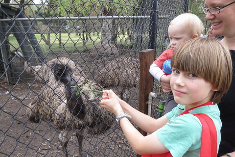 Swan Valley Half-Day Food Tour And Wine Trail From Perth - Accommodation Sunshine Coast 5