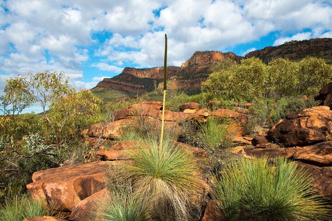 6-Day Eyre Peninsula & Flinders Ranges Adventure Tour - Accommodation Sunshine Coast 1