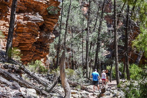 6-Day Eyre Peninsula & Flinders Ranges Adventure Tour - Accommodation Sunshine Coast 5