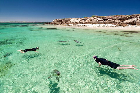 10 Day Adelaide To Perth Private Tour - The Great Australian Wilderness Journey - Accommodation Sunshine Coast 1
