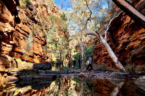 10-Day Adelaide To Perth Adventure Tour - Accommodation Sunshine Coast 5