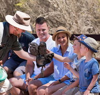 2 day Ultimate Kangaroo Island with return ferry - Accommodation Sunshine Coast