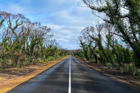 2 Day Ultimate Kangaroo Island With Return Ferry - Accommodation Sunshine Coast 4