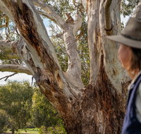 NEW TOUR - Kangaroo Island Road to Recovery Tour 1 Day/1 Night - Accommodation Sunshine Coast