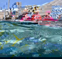 Outer Reef Pontoon Experience from Cairns - Accommodation Sunshine Coast