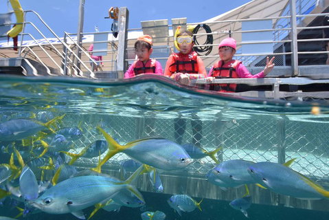 Outer Reef Pontoon Experience From Cairns - Accommodation Sunshine Coast 0