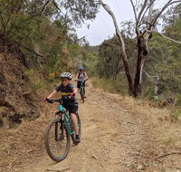 Mount Lofty Descent Bike Tour from Adelaide - Accommodation Sunshine Coast