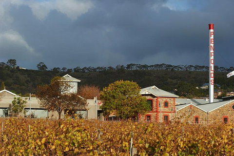 Penfolds Magill Estate Iconic Experience - Accommodation Sunshine Coast 3