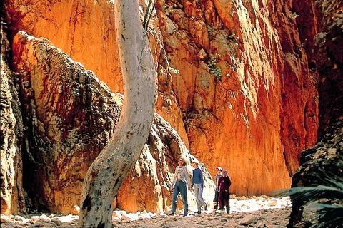 West MacDonnell Ranges Day Trip From Alice Springs - Accommodation Sunshine Coast 3