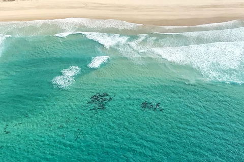 Coastal Helicopter Shared Flight - 20 Minutes - Accommodation Sunshine Coast 4