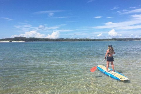 Golden Beach 1-Hour Stand-Up Paddleboard Hire On The Sunshine Coast - Accommodation Sunshine Coast 4