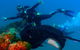 Scuba Dive The S.S. Yongala Wreck On The Great Barrier Reef. - thumb 0