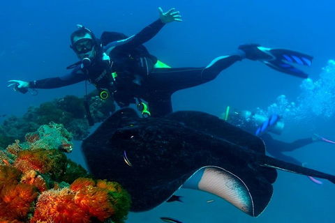 Scuba Dive The S.S. Yongala Wreck On The Great Barrier Reef. - Accommodation Sunshine Coast 0