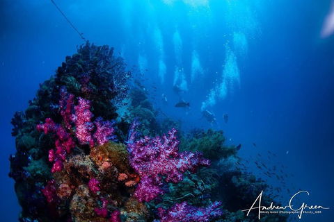 Scuba Dive The S.S. Yongala Wreck On The Great Barrier Reef. - Accommodation Sunshine Coast 2