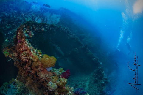 Scuba Dive The S.S. Yongala Wreck On The Great Barrier Reef. - Accommodation Sunshine Coast 3