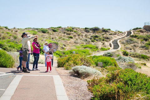 Margaret River Coastal And Wildlife Eco Trip From Busselton Or Dunsborough - Accommodation Sunshine Coast 0
