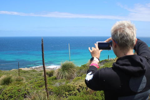 Margaret River Coastal And Wildlife Eco Trip From Busselton Or Dunsborough - Accommodation Sunshine Coast 3