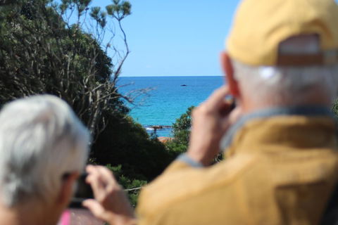 Margaret River Coastal And Wildlife Eco Trip From Busselton Or Dunsborough - Accommodation Sunshine Coast 5